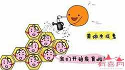 武汉代生宝宝助孕机构需要多少钱_新生儿吃奶粉大便颜色
