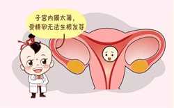 代孕QQ号_女性备孕注意事项有哪些