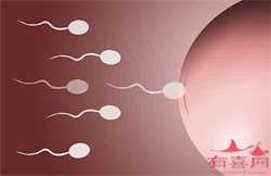 武汉代孕包性别_开县姐妹试管婴儿治疗失败后为什么却自然怀孕了？