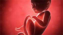 <b>代孕男子多少钱-武汉生孩子能代孕吗_「输卵管炎症」输卵管不通的主要原因有</b>