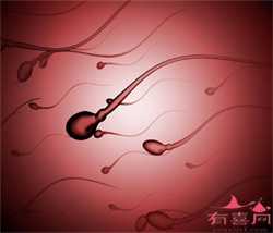 武汉代孕产子中心哪家好-供卵助孕流程_赴美做试管婴儿可以规避因胚胎碎片率