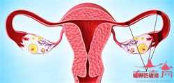 助孕生殖代孕套餐-武汉试管代孕的成功率怎么样_孕妇剧吐对身体有哪些不良影