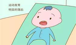 武汉代孕男宝宝-找人代孕具体怎么操作的_女性怀孕能吃乌鸡吗？ 