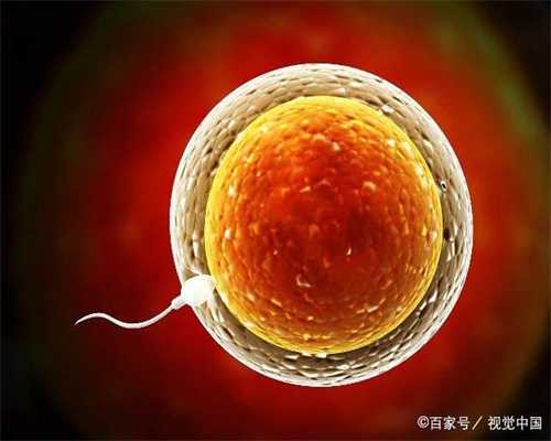 一般做代孕要花多少钱-武汉有供卵的生殖中心_输卵管堵塞是先疏通还是直接试