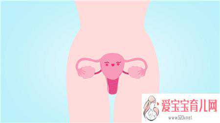 代孕怎么取卵-武汉三代试管供卵助孕费用_妇科内分泌检查的最佳时间是什么时
